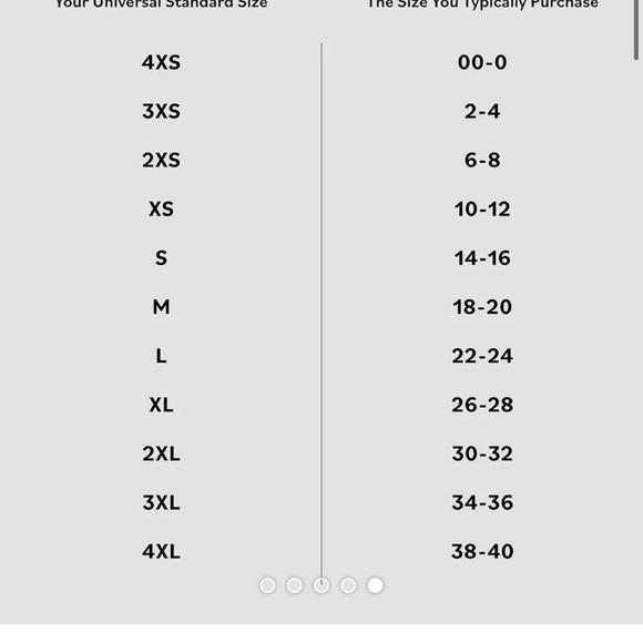 Universal Standard Hamptons Smocked Shirtdress size L 22/24 Green and white - Picture 3 of 13